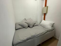 Central Green Condominium (D3), Condominium #499352671
